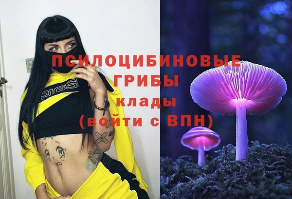 mdpv Богданович