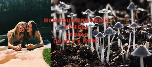 mdpv Богданович