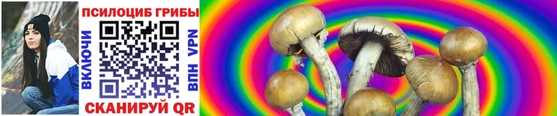 цены наркотик  Горно-Алтайск  Псилоцибиновые грибы Cubensis 