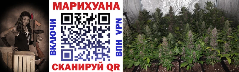 Шишки марихуана тримм  Горно-Алтайск 